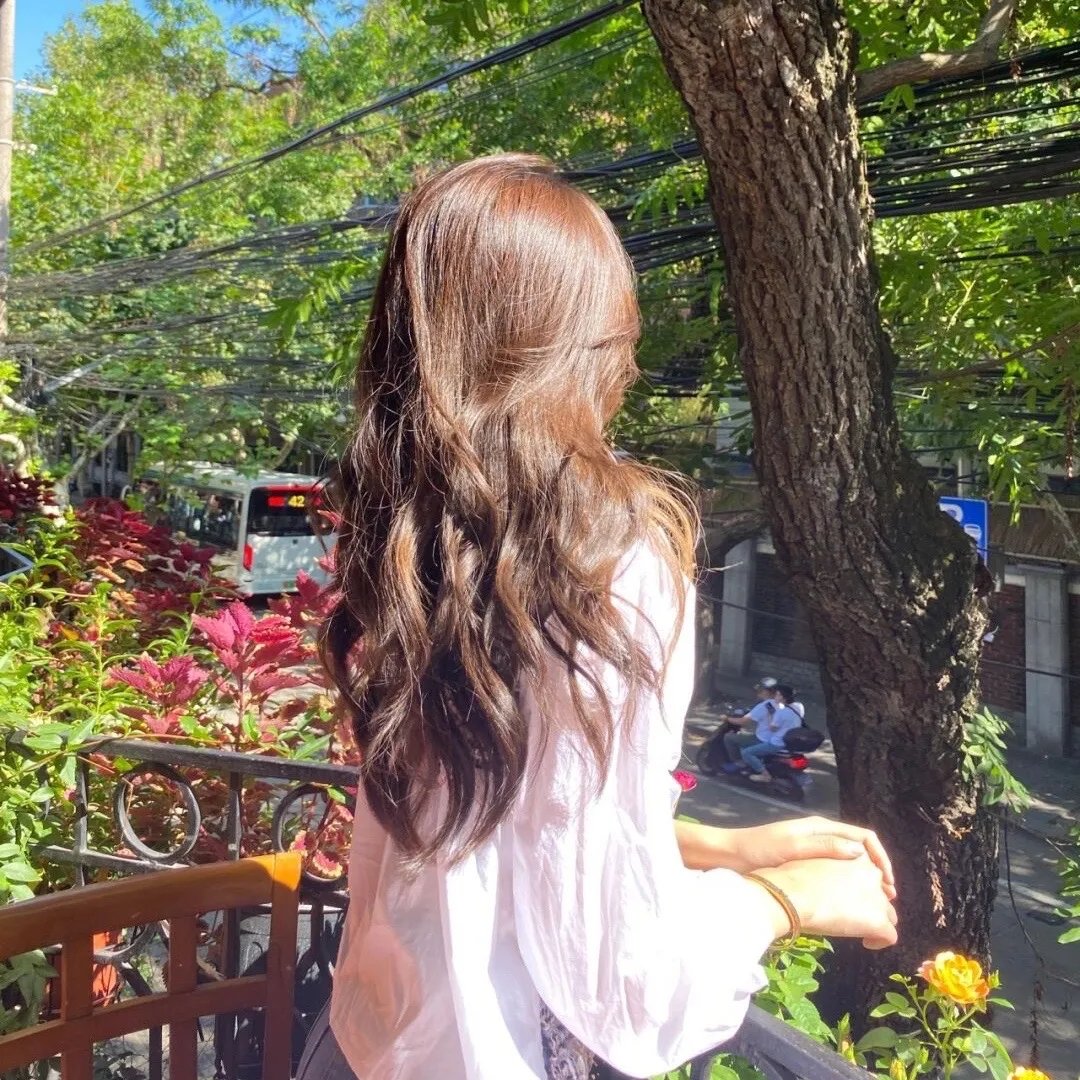红尾鸽